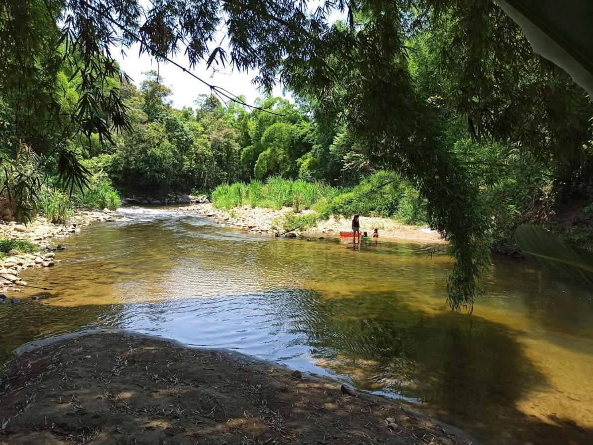 Ecoisa De Chacara - Casa De Vidro, Casa De Campo Morretes Buitenkant foto
