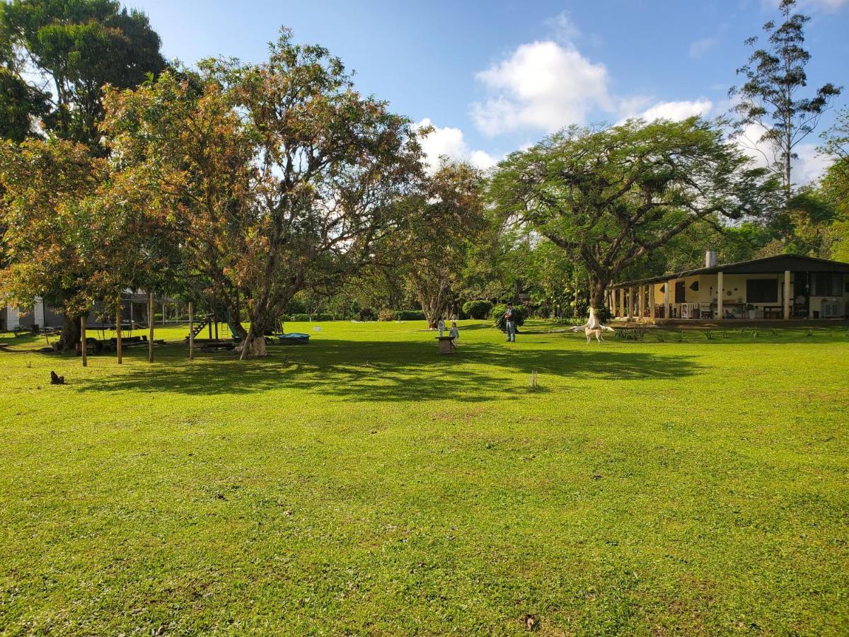 Ecoisa De Chacara - Casa De Vidro, Casa De Campo Morretes Buitenkant foto