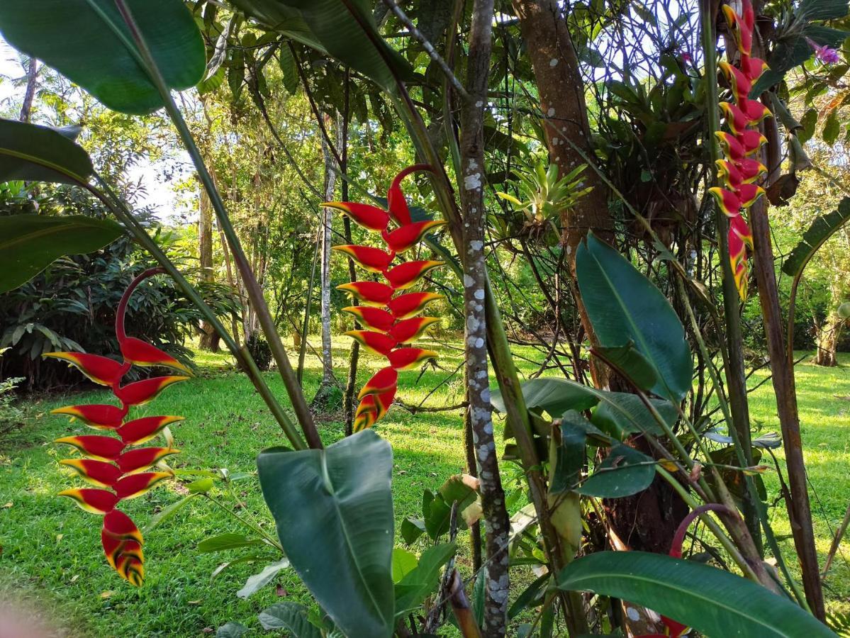 Ecoisa De Chacara - Casa De Vidro, Casa De Campo Morretes Buitenkant foto