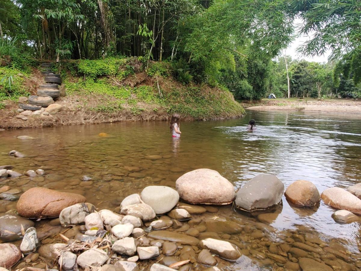 Ecoisa De Chacara - Casa De Vidro, Casa De Campo Morretes Buitenkant foto