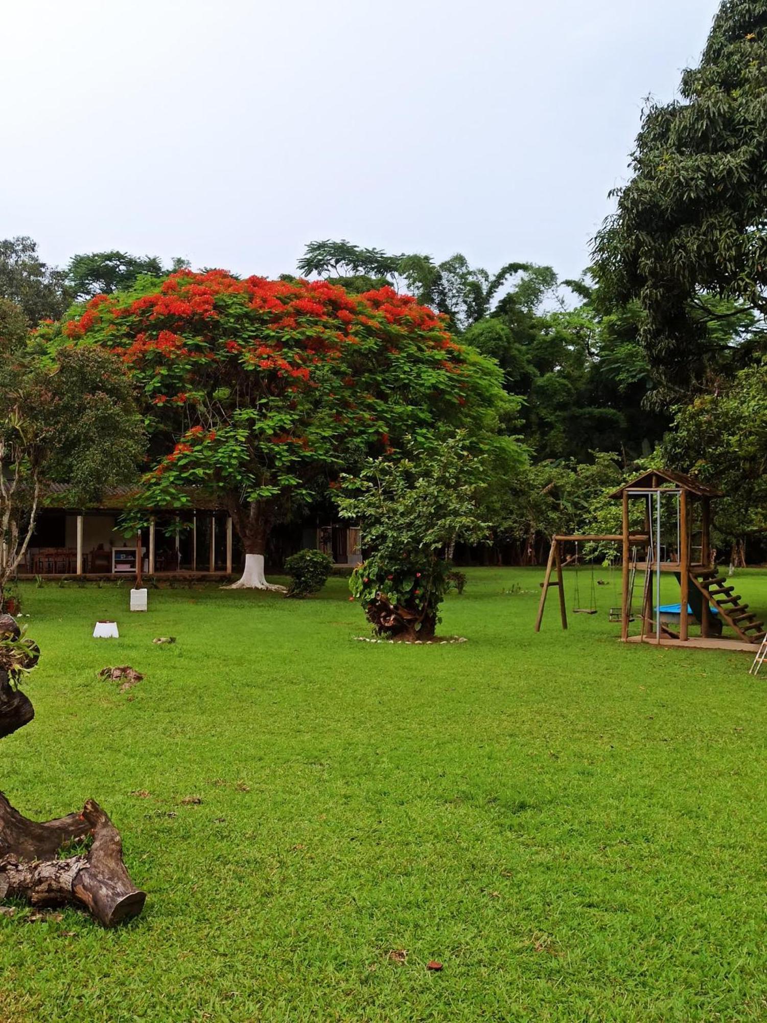 Ecoisa De Chacara - Casa De Vidro, Casa De Campo Morretes Buitenkant foto